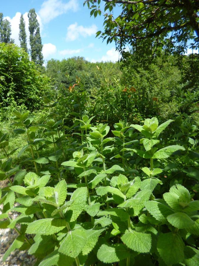 Bed and Breakfast Le Moulin De Cors Oulches Экстерьер фото
